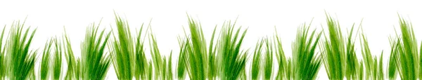 Natur Frühling Oder Sommer Gras Nahtloses Muster — Stockfoto