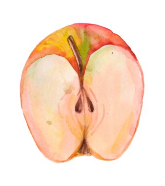 Kırmızı suluboya elmaların yarısı beyaz arka planda. Olgun taze elmalar kırpma yolu