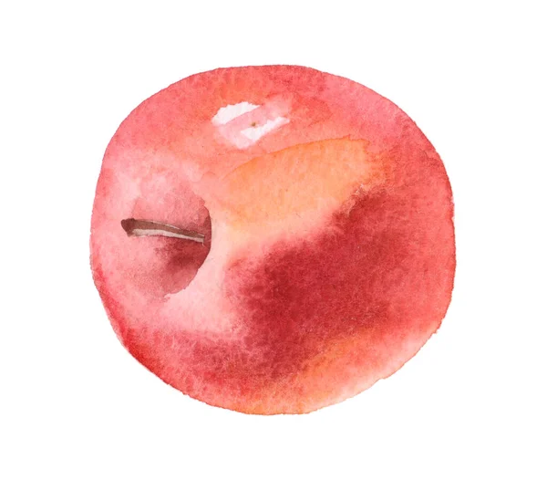 白で隔離された新鮮な水彩の赤いリンゴ — ストック写真