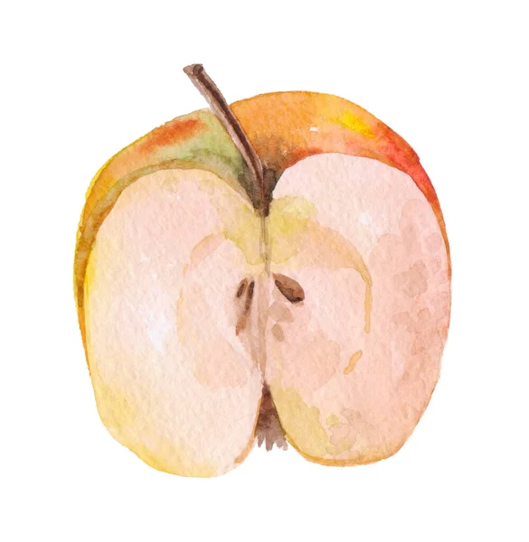 Czerwone Jabłko Jabłko Cięcia Akwarela Ilustracja — Zdjęcie stockowe