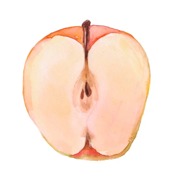 リンゴの水彩の半分は白で隔離された Appleクリッピングパス — ストック写真
