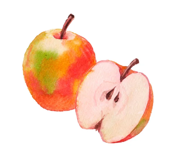 Still Life of Apples Still Life Drawings Pictures Drawings ideas for  kids Easy and simple