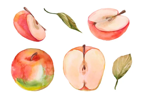 リンゴの水彩手描きセット 白を基調とした隔離されたエコ自然食品のイラスト — ストック写真