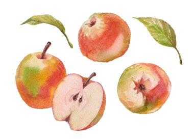 Kırmızı suluboya elma tüm parçalar paket tasarımı ögesi olarak beyaz arkaplan üzerine izole