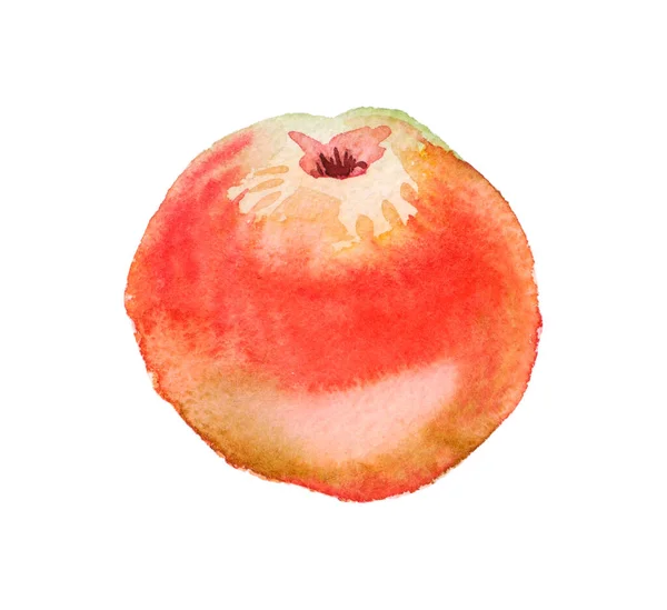 Κόκκινο Μήλο Ακουαρέλα Λευκό Φόντο Σκιά — Φωτογραφία Αρχείου