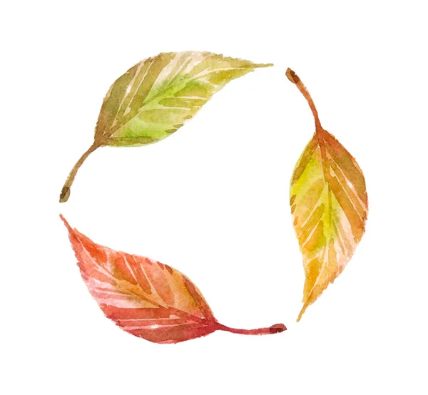 Multicolored Leaves Colorful Autumn Leaves Collection Circle Isolated White Background — ストック写真