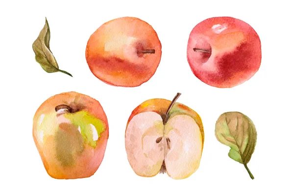 Watercolor Red Apple Half Isolated White Background Clipping Path Full — Stockfoto