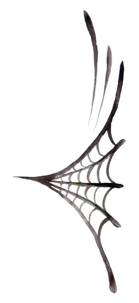 Spider Web Spider Black Web Sfondo Bianco Rugiada Sulla Ragnatela — Foto Stock