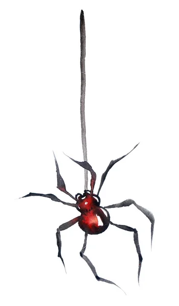 Spider Watercolor Illustration Web White — Stock Photo, Image