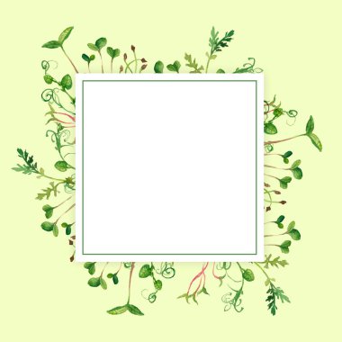 El çizimi mikro yeşiller yatay afişler. Şirket logosu, baskısı, paketleri için sağlıklı vejetaryen ve vejetaryen gıda tasarımı. Suluboya çizimi