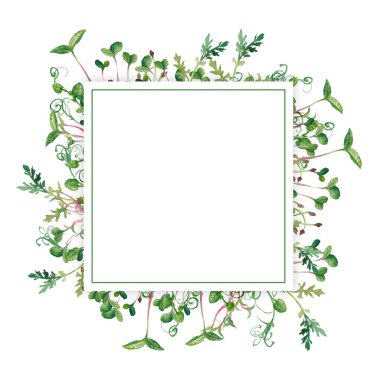 El yapımı mikro yeşillikler botanik kare çerçevesi. Şirket logosu, baskısı, paketleri için sağlıklı vejetaryen ve vejetaryen gıda tasarımı. Robot resim tarzında suluboya illüstrasyon