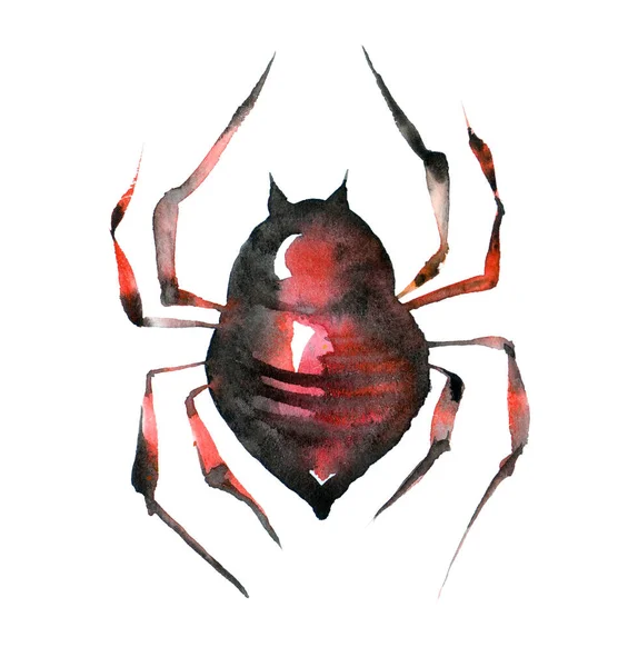 Spider Watercolor Isolated White Backgrounds — Stockfoto