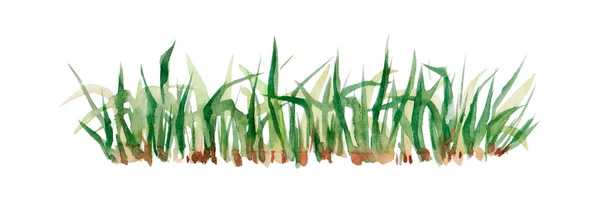 Watercolor Green Watercolor Natural Organic Bio Eco Label Shape Grass — Stockfoto