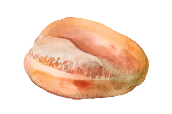 Hand Drawn Watercolor Loaf Bread Illustration Isolated White Background Realistic — Fotografia de Stock