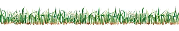 Fresh Green Grass Seamless Pattern Watercolor Hand Drawn Painting Illustration — Stockfoto