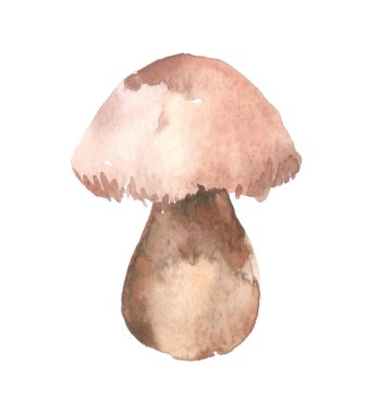 One watercolor whole edible mushroom on white background isolated close up, boletus edulis, beautiful brown cap boletus, penny bun, cep, porcino or porcini, fungi, white fungus, forest plant, delicatessen food