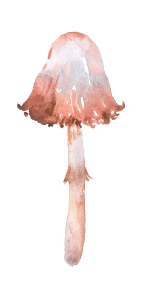 Watercolor Mushroom Hairy Coprin Coprin Chevelu — Zdjęcie stockowe