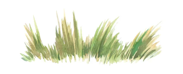 Zielona Trawa Ciągnione Akwarele Białym Tle — Zdjęcie stockowe
