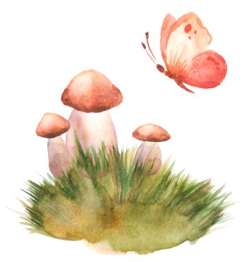 Hand drawn watercolor illustration of porcini cep edible boletus mushroom in grass with butterfly. Forest wood woodland esign. Wild raw healthy organic ingridient. Autumn summer mushrooming. King bolete food cooking