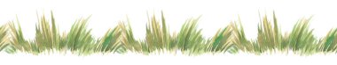 seamless, watercolor linear border, background with vintage seamless floral pattern - grass, wild plants of green color. yellow flowers. Watercolor card, postcard, ribbon, decorative scotch tape.
