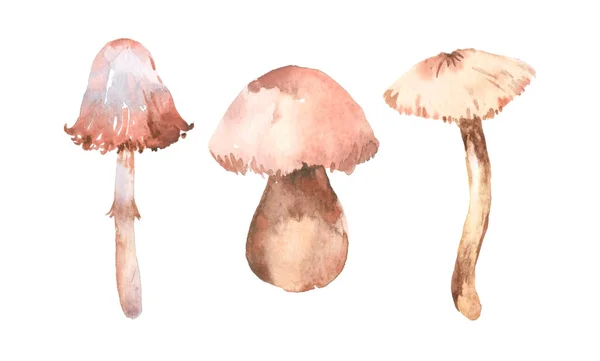 Watercolor Hand Painted Mushroom Set Amanita Magic Nature Forest Mystical — Stok Foto