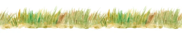 Background Green Wheat Field Seamless Border Ears Corn Grass — 스톡 사진