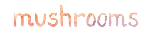 Mushrooms Watercolor Word Stroke High Quality Raster — Stok Foto