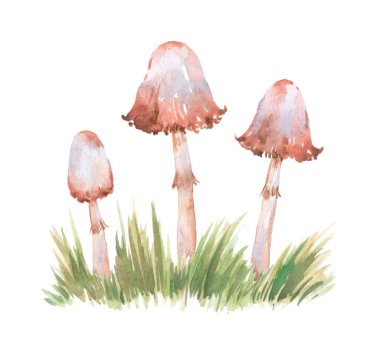 watercolor hand drawn wild natural poisonous dangerous mushroom illustration composition of webcap fungi with brown ochre caps in fall autumn forest wood grass for nature lovers for Halloween design