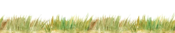 Watercolor Illustration Green Color Wild Grasses White Background — Stock Photo, Image