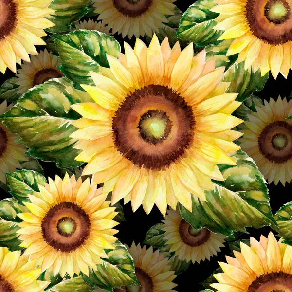 Seamless Pattern Watercolor Sunflowers Black Background — Stok fotoğraf