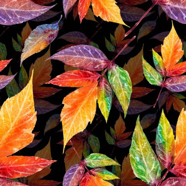 Watercolor handpainted colorful autumn falling leaves on a black background Multicolor blurry fall botanical seamless pattern for fabric, wrapping paper, wallpaper, home decor