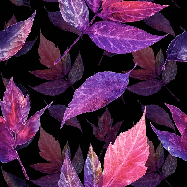 Tropic Plant Design Purple Decoration Miami Violet Tropical Palm Leaves — Fotografia de Stock