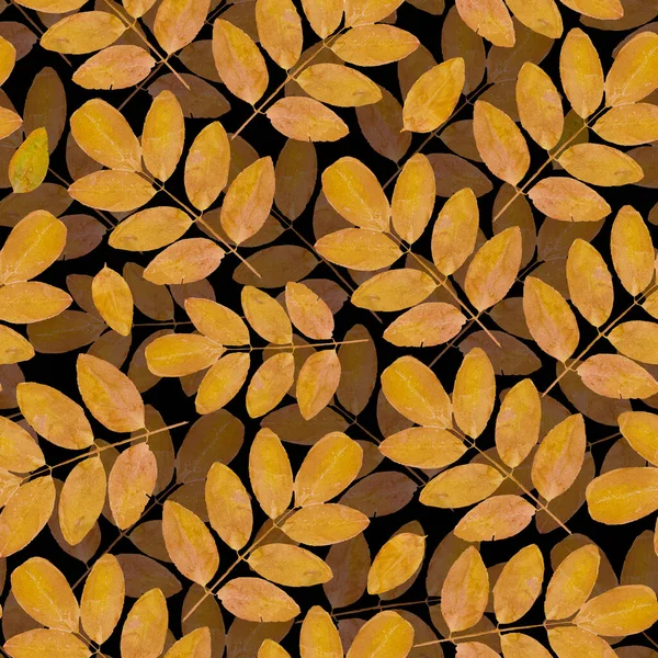 Colorful seamless floral pattern with leaves. Watercolor print in rustic vintage style, textile or wallpapers in provence style isolated on dark background.