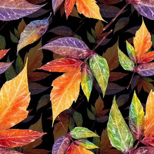 Watercolor Handpainted Colorful Autumn Falling Leaves Black Background Multicolor Blurry — Foto Stock