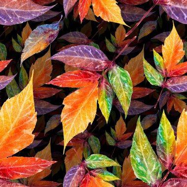 Hand-painted colourful rainbow transparent autumn falling leaves on a black background Watercolor blur layered botanical pattern seamless for fabric, wrapping paper, wallpaper, home decor