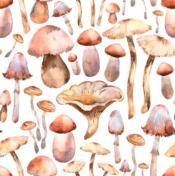 Paddestoelen Aquarel Geïsoleerd Witte Achtergrond Naadloos Patroon Voor Alle Prints — Stockfoto