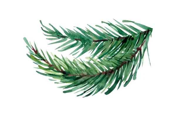 Watercolor Christmas Tree Branches Hand Painted Texture Fir Needle Natural — Stock Photo, Image