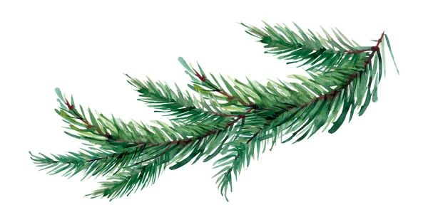 Watercolor Image Spruce Branches Isolated White Background — Stock Photo, Image