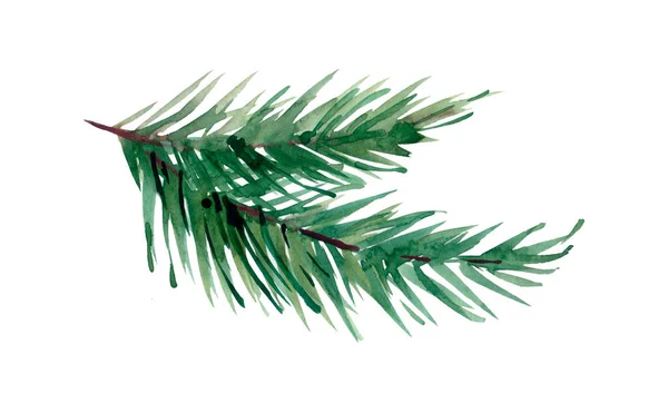 Watercolor Branch Christmas Tree Hand Drawing Texture Fir Needle Isolated — Stock Photo, Image