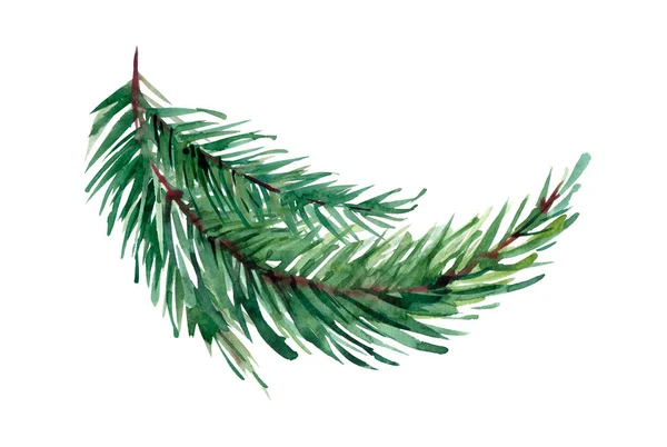 가문비나무 소나무 전나무의 솜털가지 크리스마스 전나무 바탕에는 물색이 분리되어 손으로 — 스톡 사진