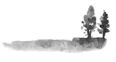 Ağaç. Suluboya ve mürekkep çizimi stil sumi-e, u-sin. Geleneksel doğu resmi.