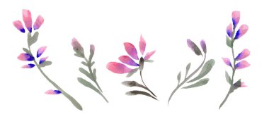 Suluboya dekoratif botanik illüstrasyonundan ve onun parçalarından yapılmıştır. Dekoratif tasarım için elementler. Delphinium.