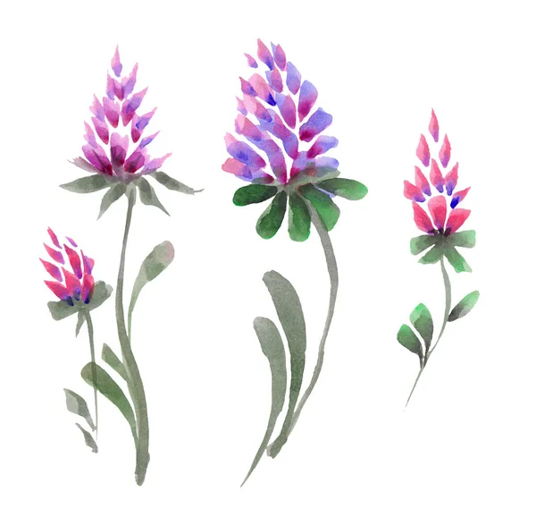 Πορφυρό Λουλούδι Ακουαρέλα Floral Κλιπ Τέχνης — Φωτογραφία Αρχείου