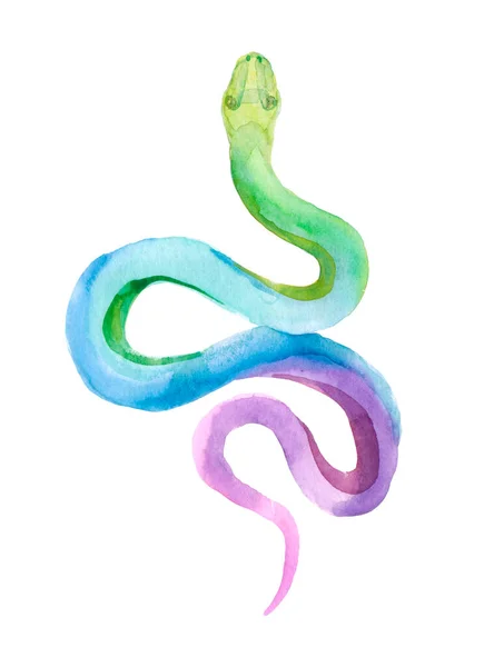 Slangen Akvarel Flerfarvet Håndtegnet Illustration Isoleret Objekt Hvid Baggrund Perfekt - Stock-foto