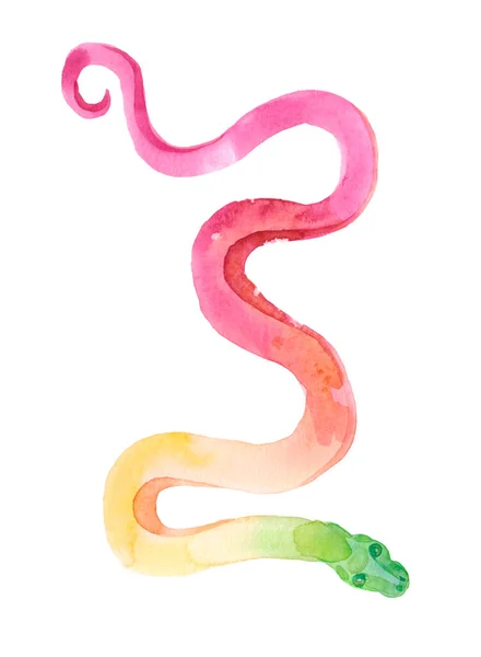 Flerfarvet Slange Raster Isoleret Hvid Baggrund Håndtegnet Akvarel Krybdyr Isoleret - Stock-foto