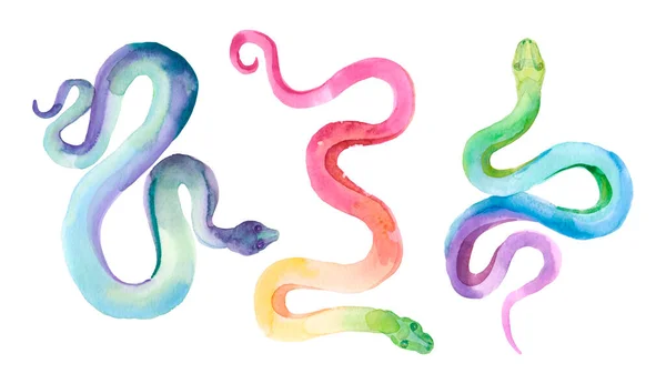水彩画一组简单的五彩斑斓的蛇 在白色背景上被隔离 设置为各种 — 图库照片