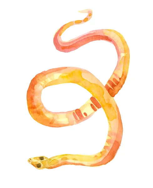 Watercolor Snake Illustration Yellow Python Child Print Cartoon Reptile — Stock Photo, Image