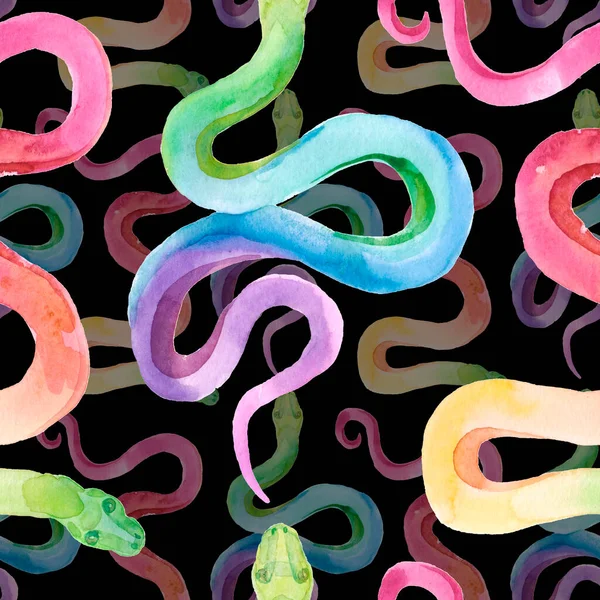 Watercolor Pattern Multicolored Snake Exotic Watercolor Pattern Black Background Snake — Stock Photo, Image