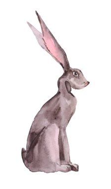 Tavşan siyah ve beyaz suluboya çizimi. Beyaz arka planda sevimli tavşan mürekkebi çizimi. Çin Yeni Yıl 2023 sembolünün suluboya çizimi, tavşan yılı..