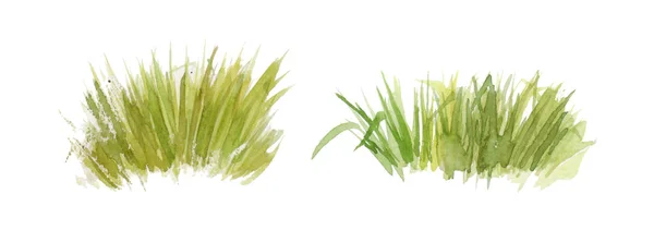 Borstels Van Groen Gras Een Witte Achtergrond Aquarel Groen Gras — Stockfoto